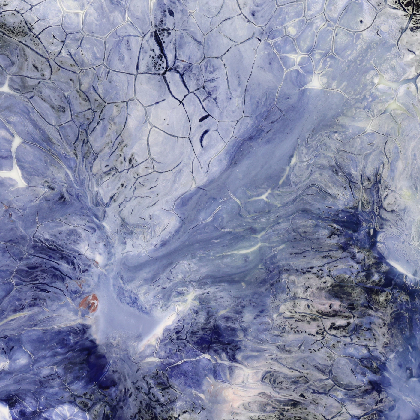 《雪魄》作品细节 4